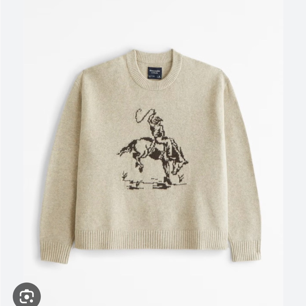 Abercrombie Men’s Oversized cowboy graphic crew sweater M NWT